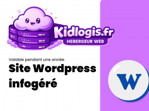 Service infogérance WordPress